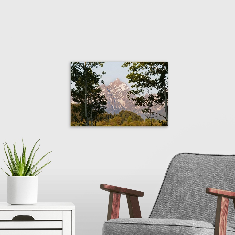 A modern room featuring Mountains through trees at sunrise, Grand Teton National Park, Wyoming, USA