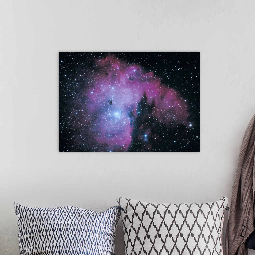 A bohemian room featuring Nebula