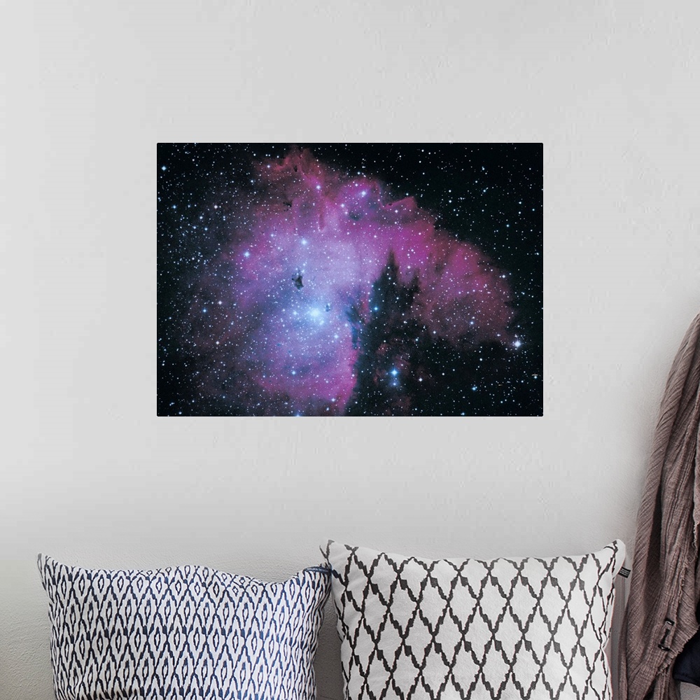 A bohemian room featuring Nebula