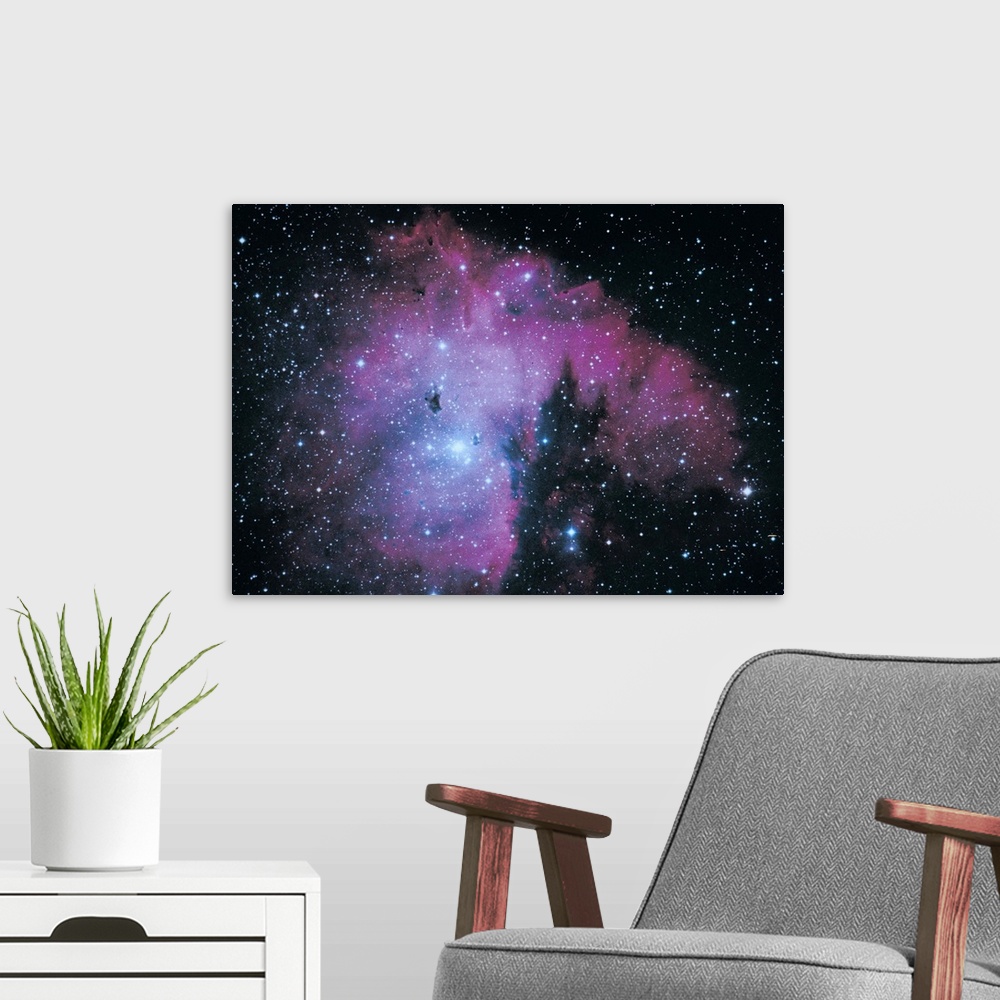 A modern room featuring Nebula