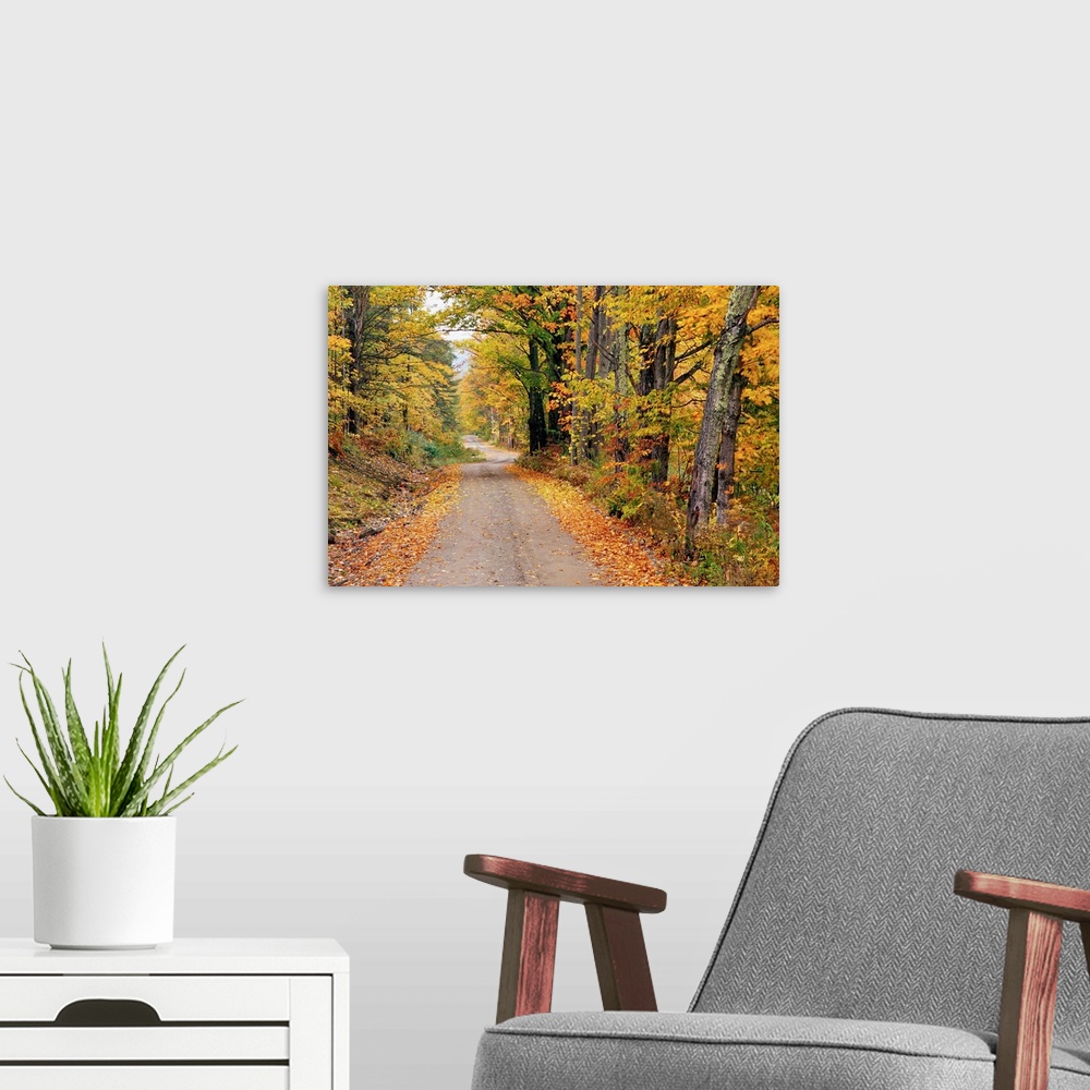 A modern room featuring New England Road In Autumn