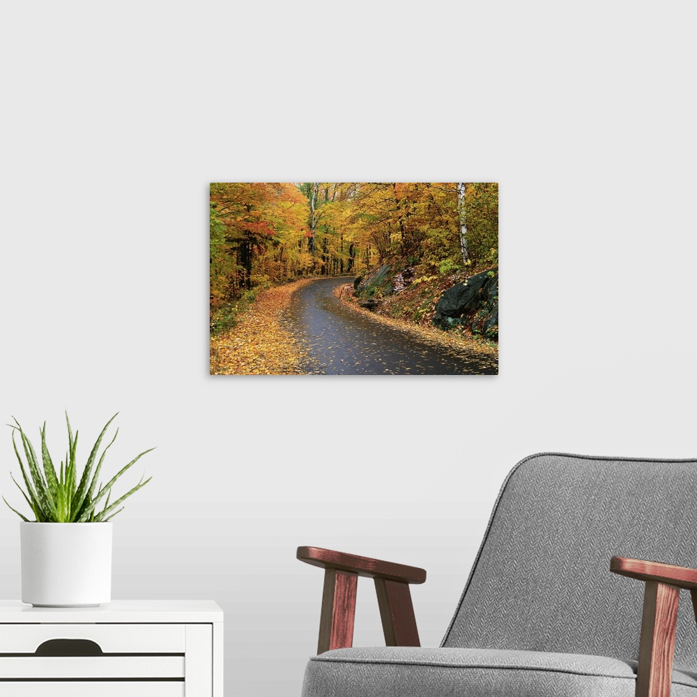 A modern room featuring New England Road In Autumn