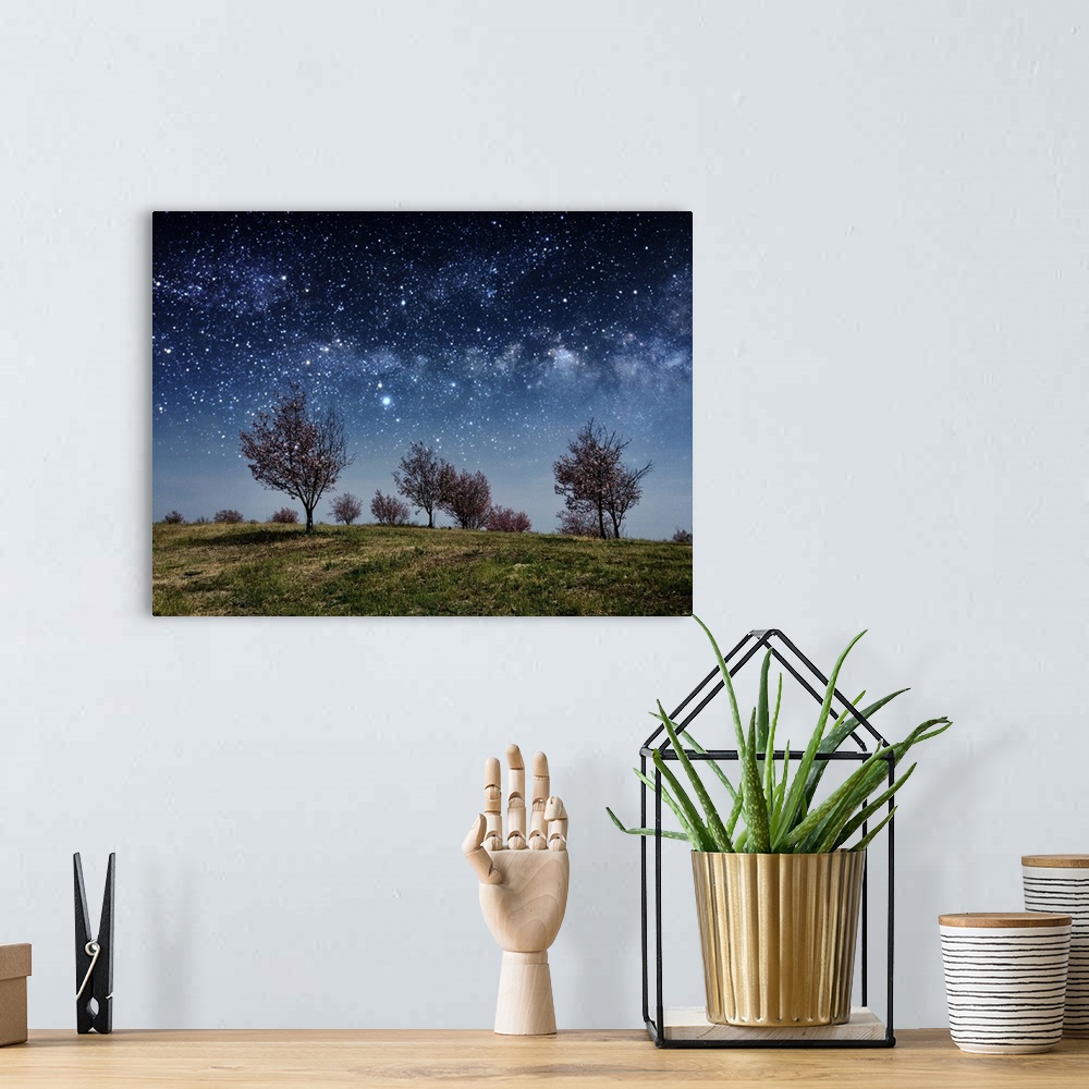 A bohemian room featuring stylized image of blossoming cherry trees on a hill at night under a sky full of stars