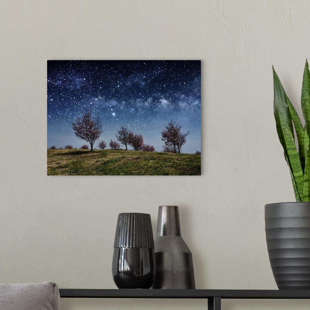 A modern room featuring stylized image of blossoming cherry trees on a hill at night under a sky full of stars