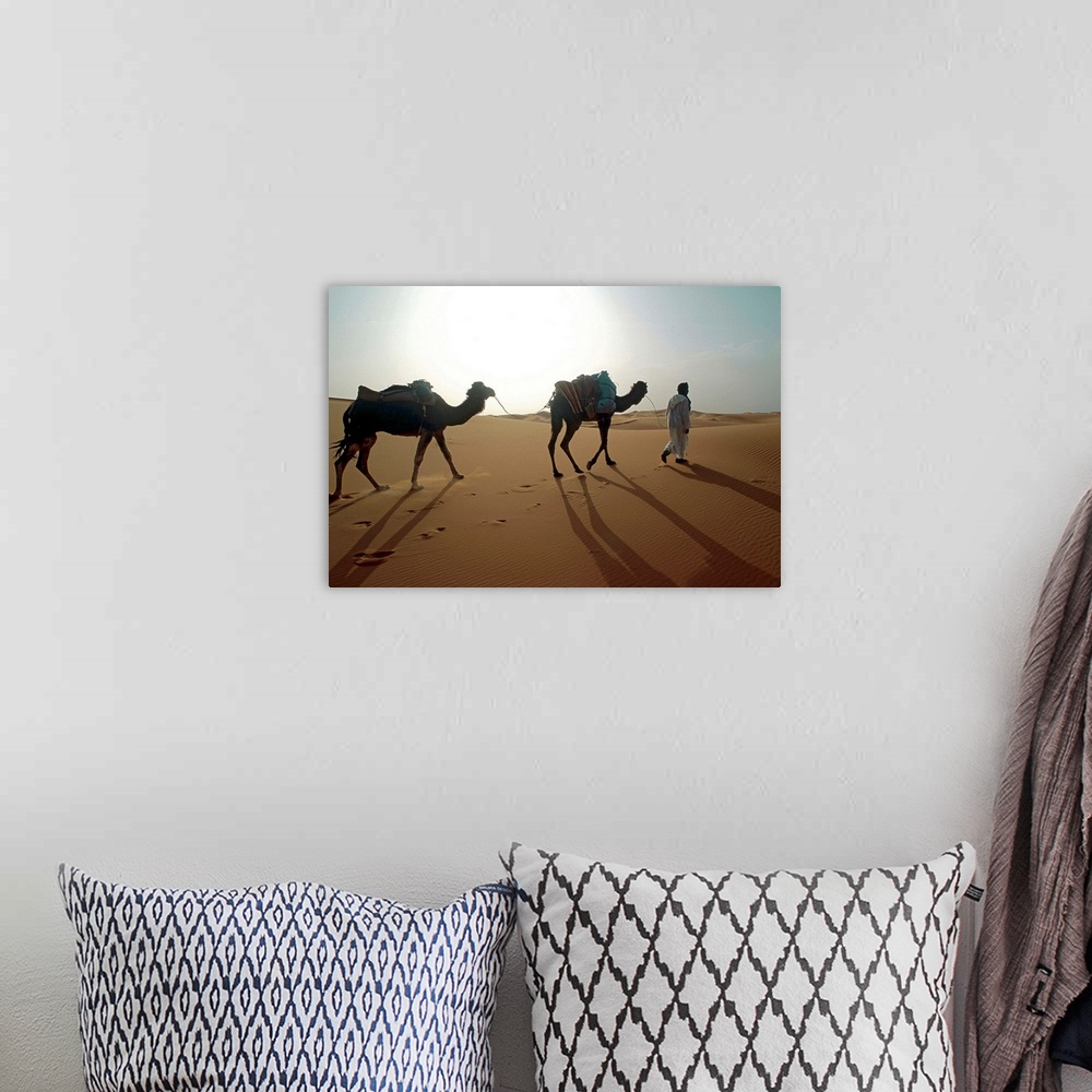 A bohemian room featuring Nomad with camels in Sahara desert , Morocco , Africa