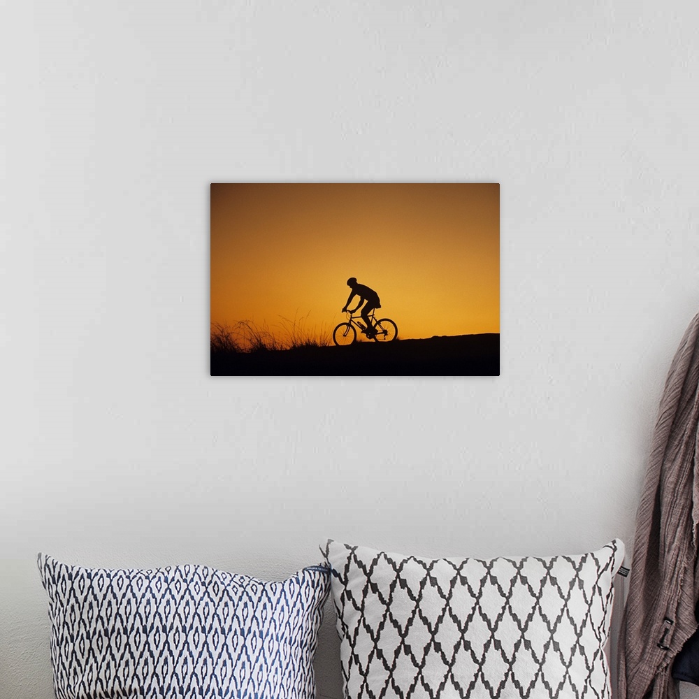 A bohemian room featuring Off-road biker at sunset, Discovery Park, Seattle, Washington, USA