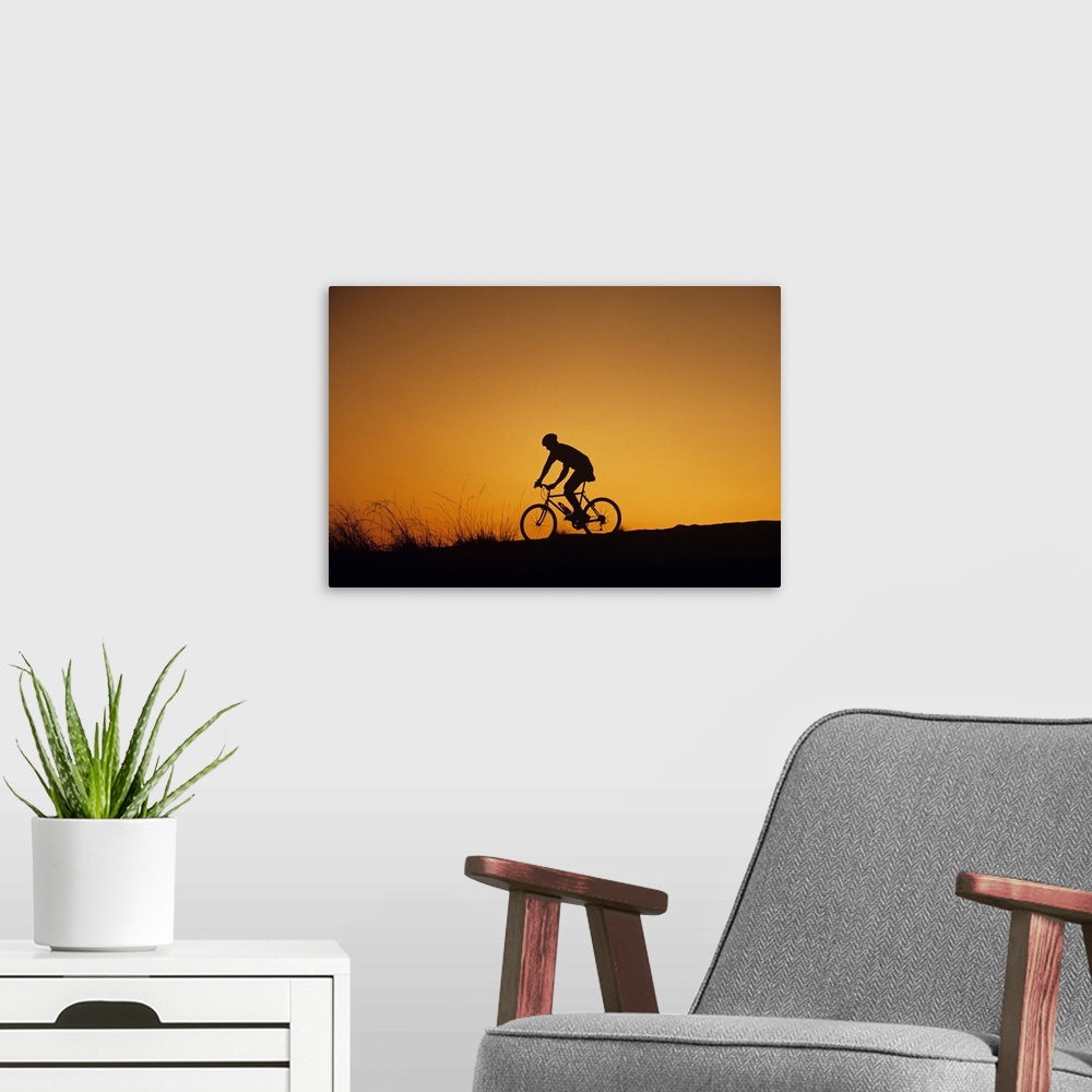 A modern room featuring Off-road biker at sunset, Discovery Park, Seattle, Washington, USA