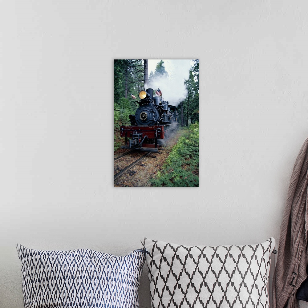 A bohemian room featuring Vertical panoramic photograph of vintage train blowing smoke and moving through a forest.