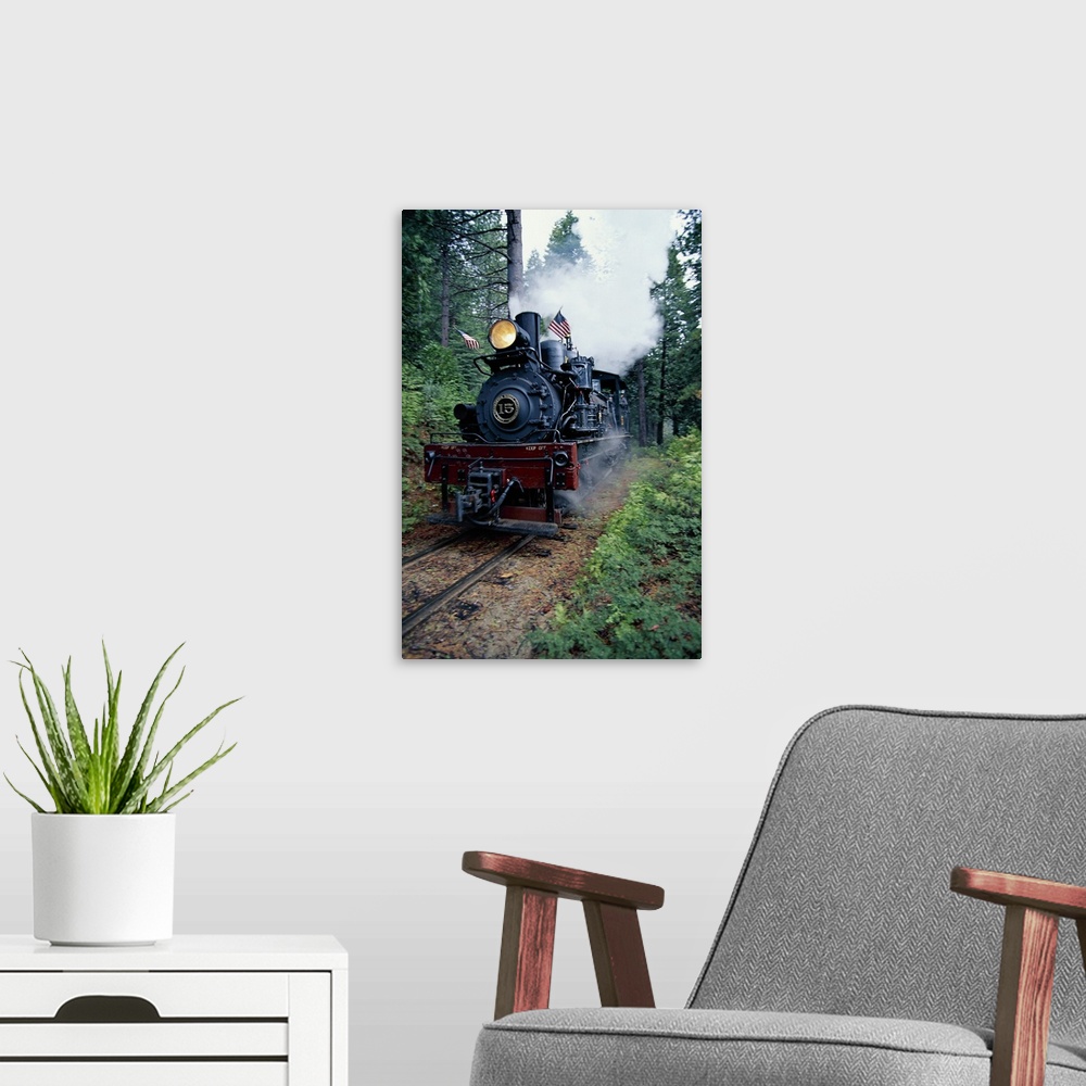 A modern room featuring Vertical panoramic photograph of vintage train blowing smoke and moving through a forest.