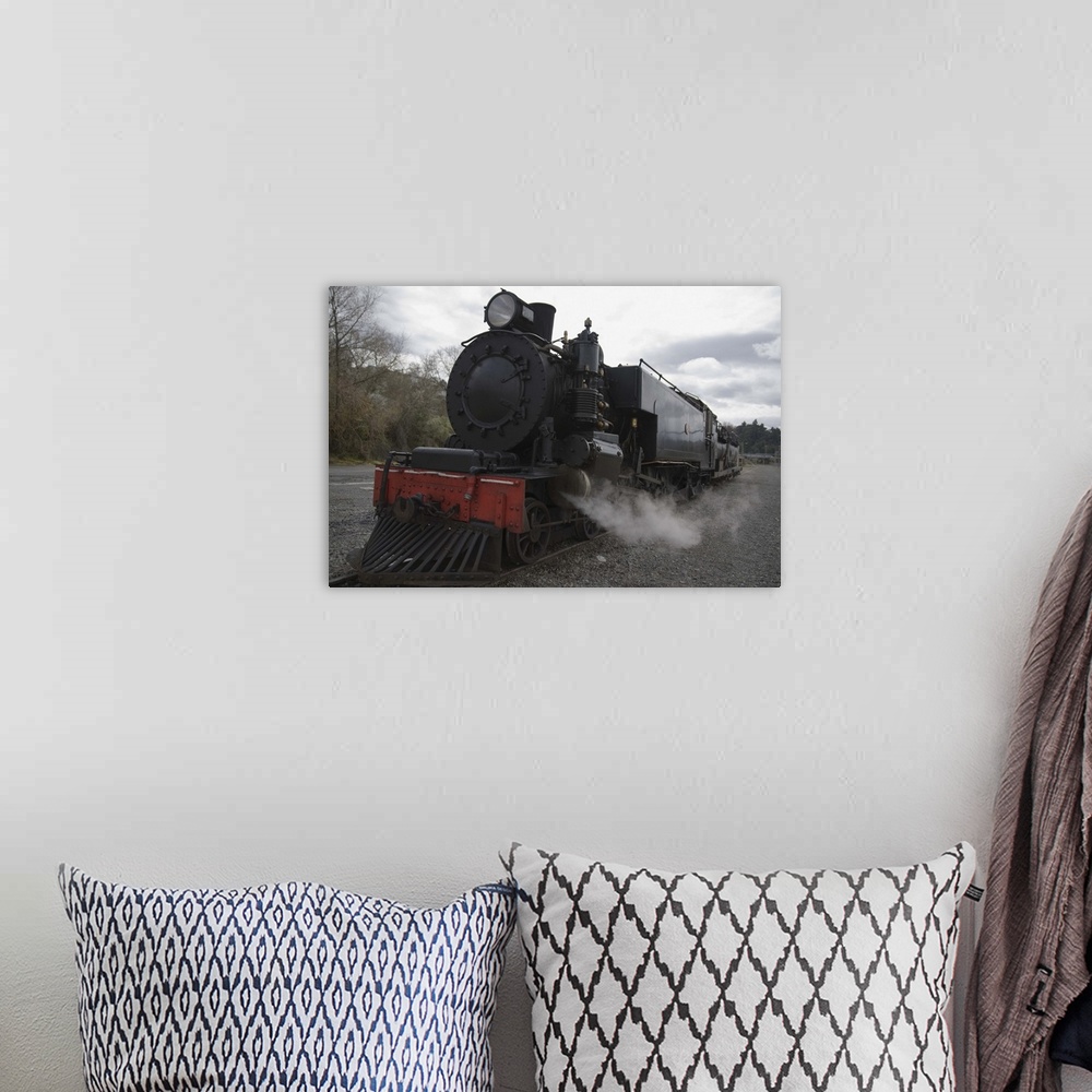 A bohemian room featuring Old steam train working in Taihape, New Zealand