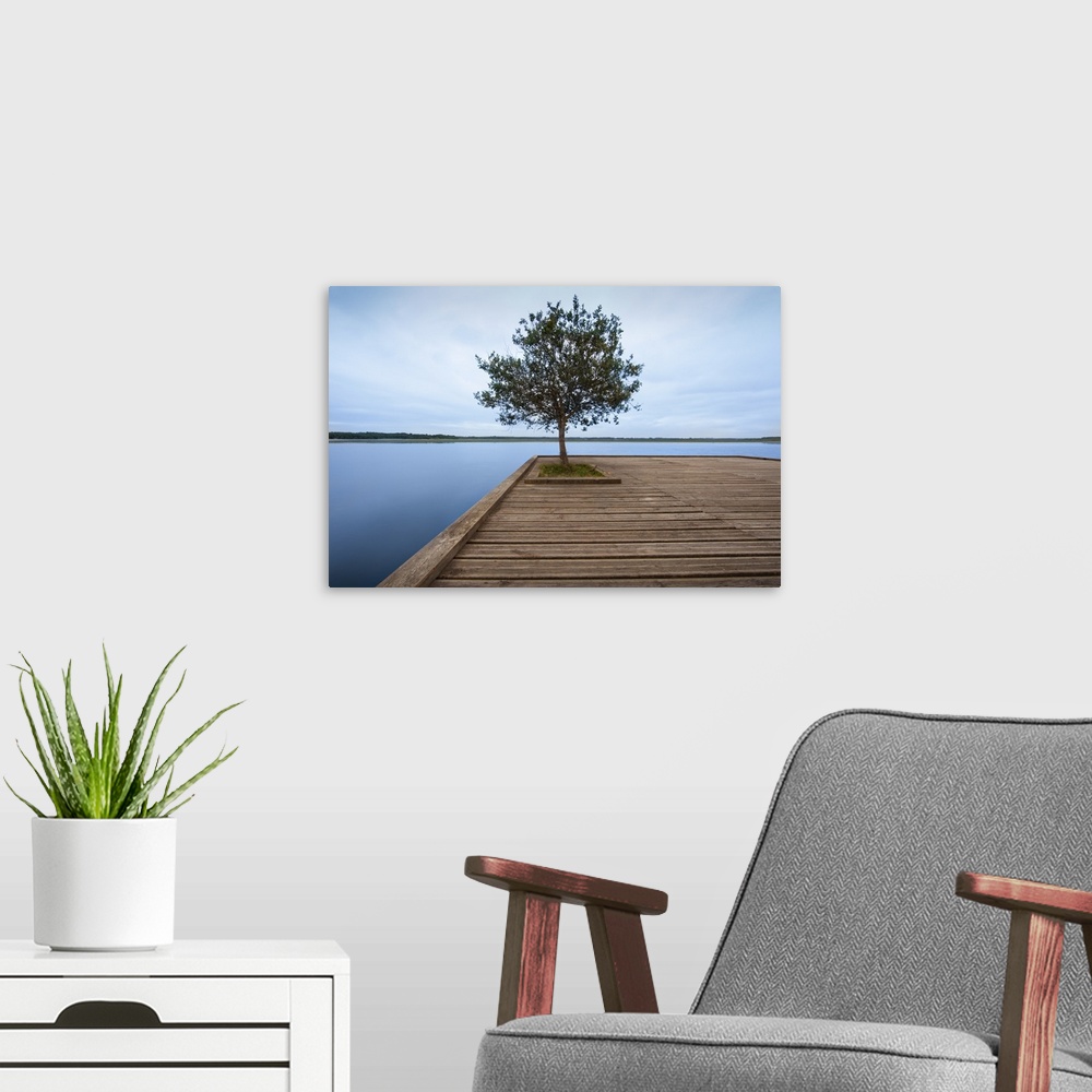 A modern room featuring Old wooden jetty with tree on end.