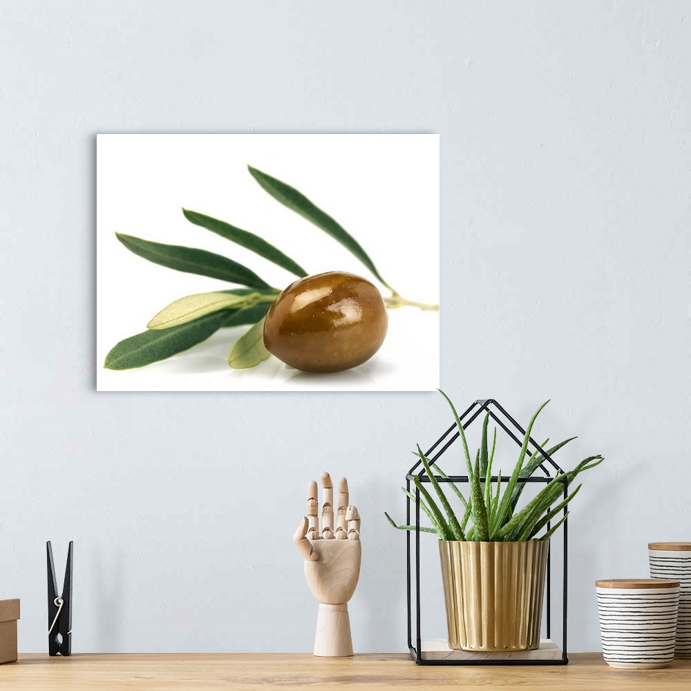 A bohemian room featuring Green olive with leaves shot on white background. Studio shot, horizontal frame.