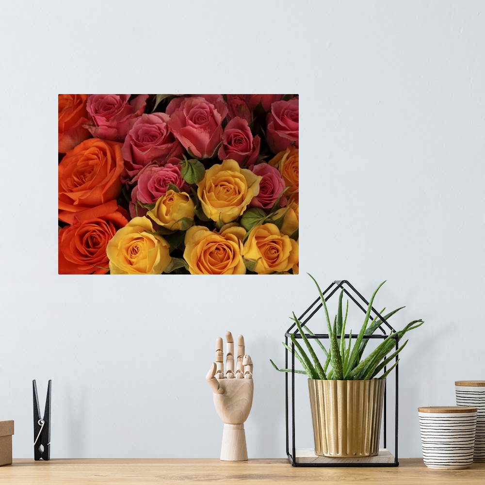 A bohemian room featuring Orange, red, and yellow roses