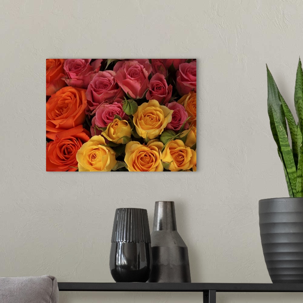 A modern room featuring Orange, red, and yellow roses