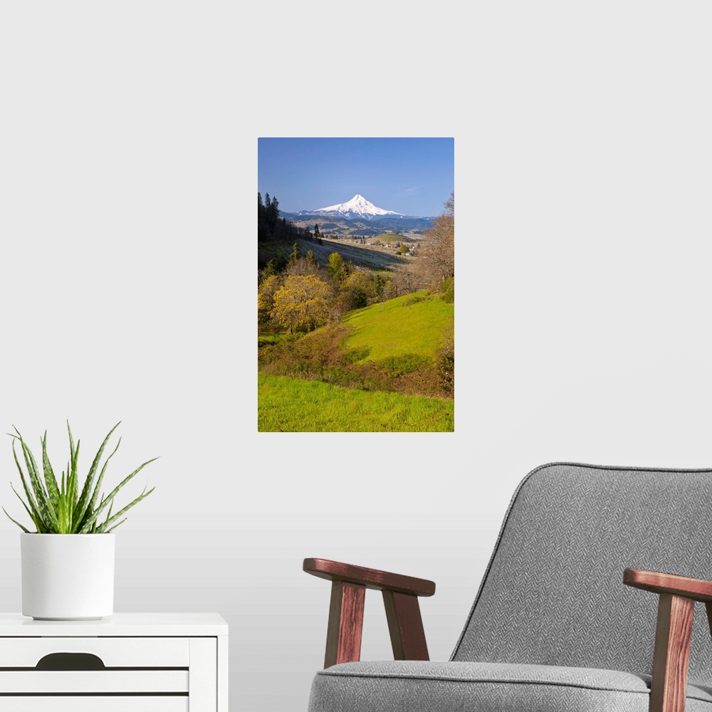 A modern room featuring Green valley with Mount Hood in the distance, Oregon, USA