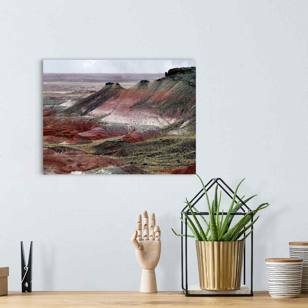 A bohemian room featuring Landscape of colorful mounds in the Painted Desert area of Petrified Forest National Park.