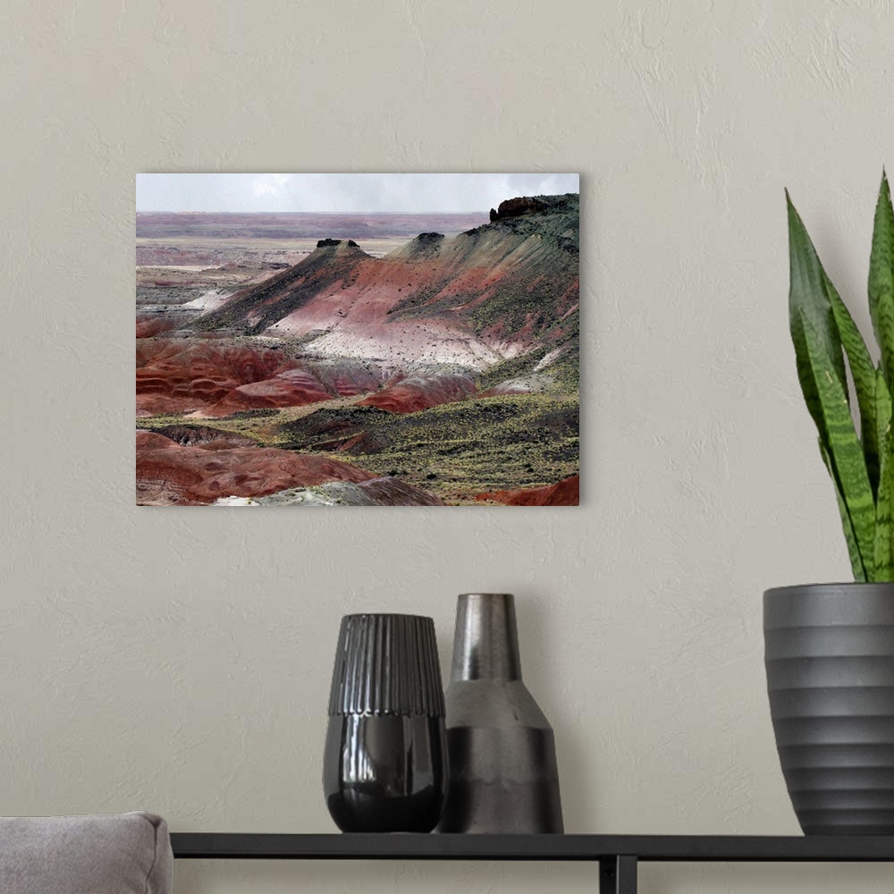 A modern room featuring Landscape of colorful mounds in the Painted Desert area of Petrified Forest National Park.