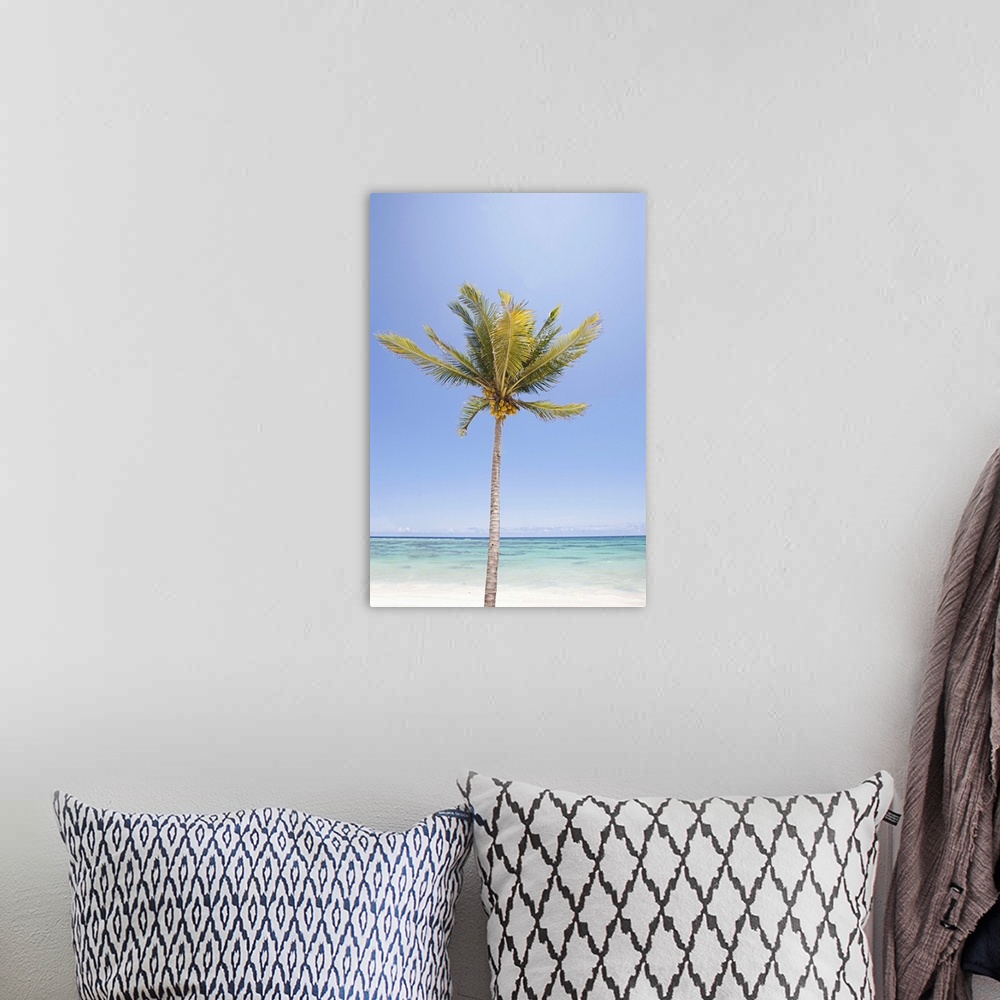 A bohemian room featuring One palm tree on beach against sea under sky.