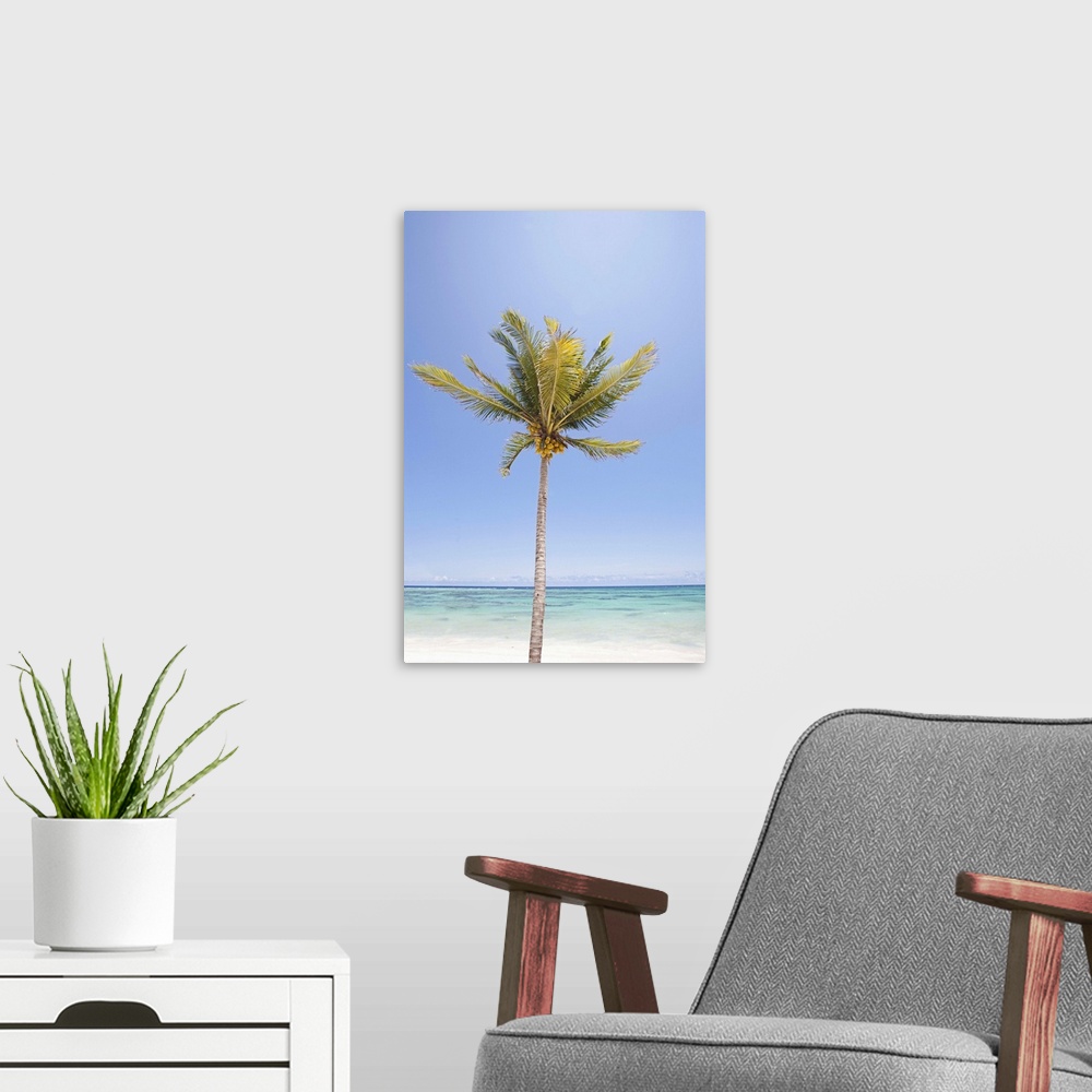 A modern room featuring One palm tree on beach against sea under sky.
