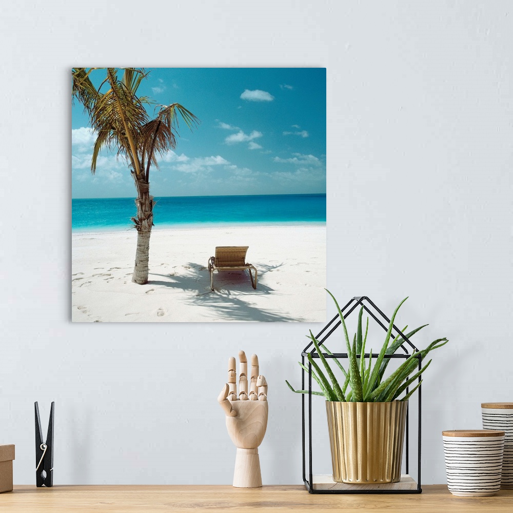 A bohemian room featuring Palm Tree And Beach Chair