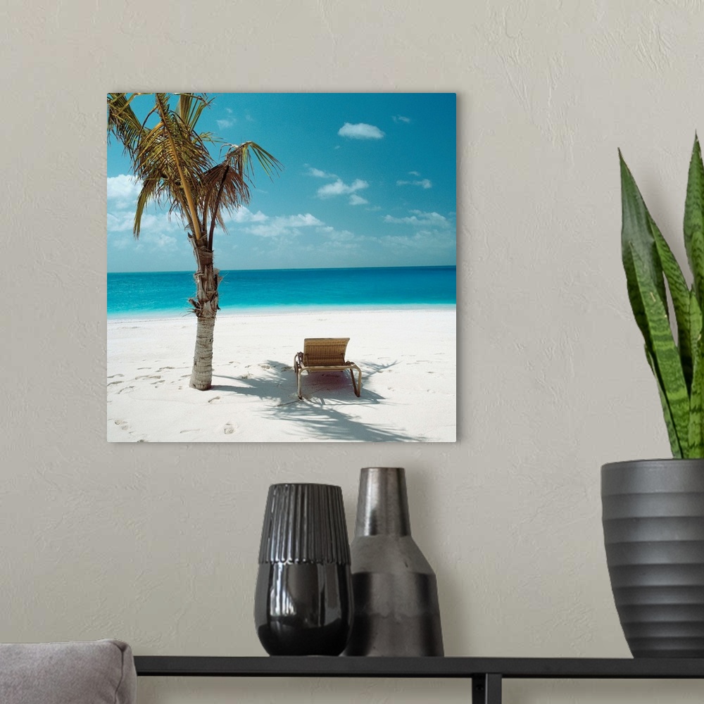 A modern room featuring Palm Tree And Beach Chair