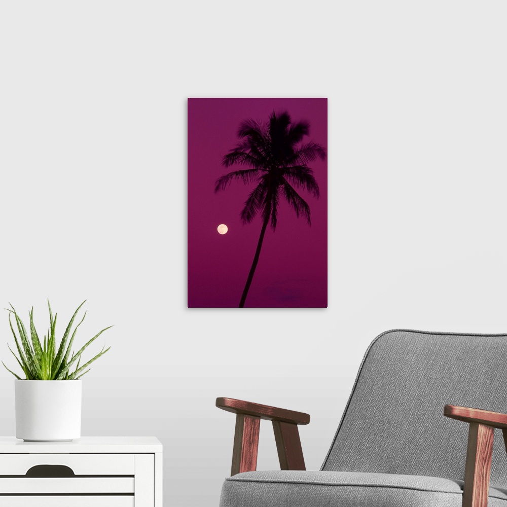 A modern room featuring Palm tree with moon in a bright pink sky.
