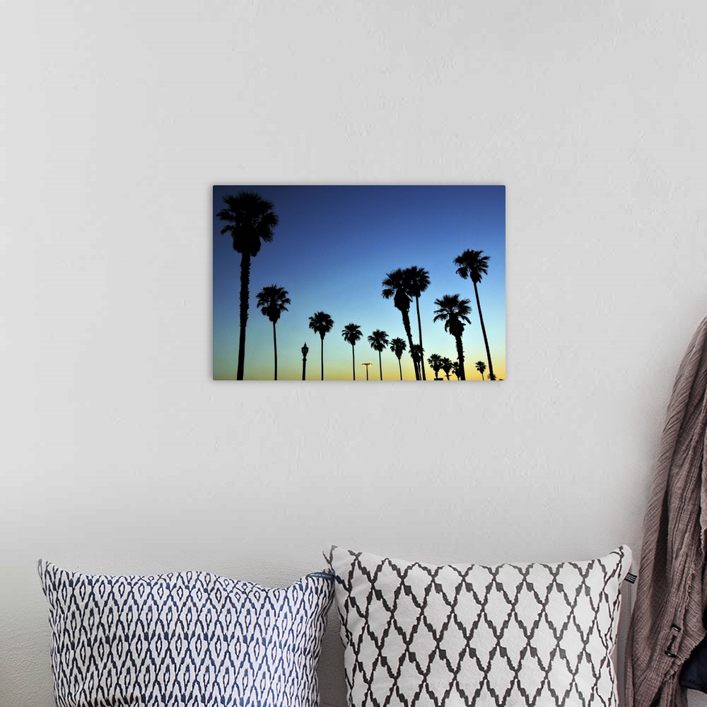 A bohemian room featuring Silhouette of Palm trees in Huntington Beach, California, USA.