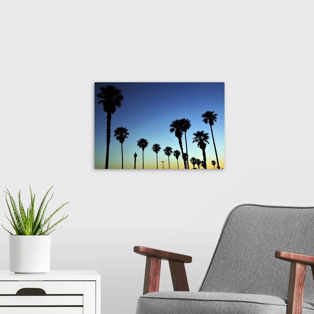 A modern room featuring Silhouette of Palm trees in Huntington Beach, California, USA.