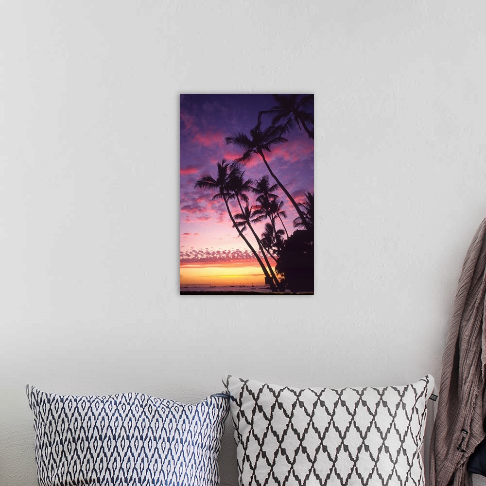 A bohemian room featuring This is a vertical photograph of a tropical scene where palm trees a stretching towards the cloud...