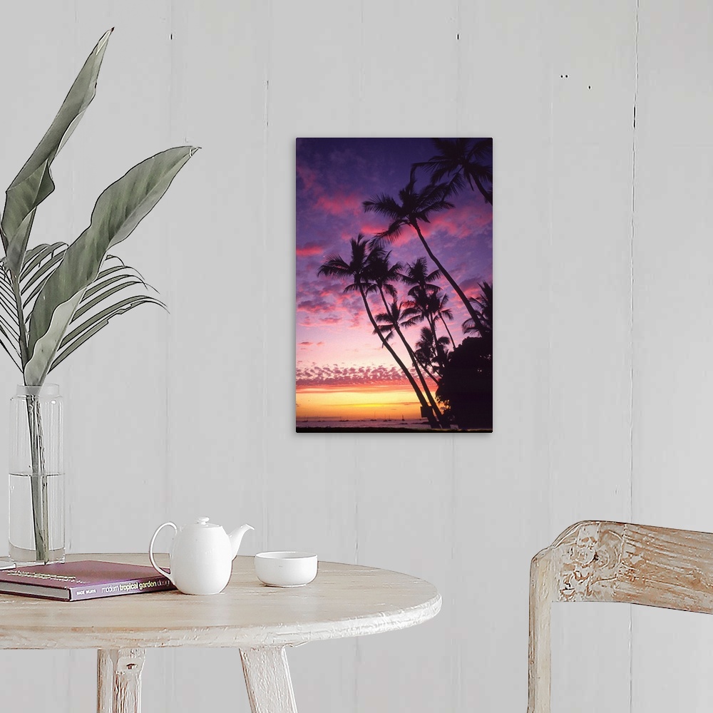 A farmhouse room featuring This is a vertical photograph of a tropical scene where palm trees a stretching towards the cloud...