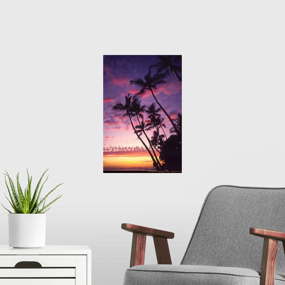 A modern room featuring This is a vertical photograph of a tropical scene where palm trees a stretching towards the cloud...