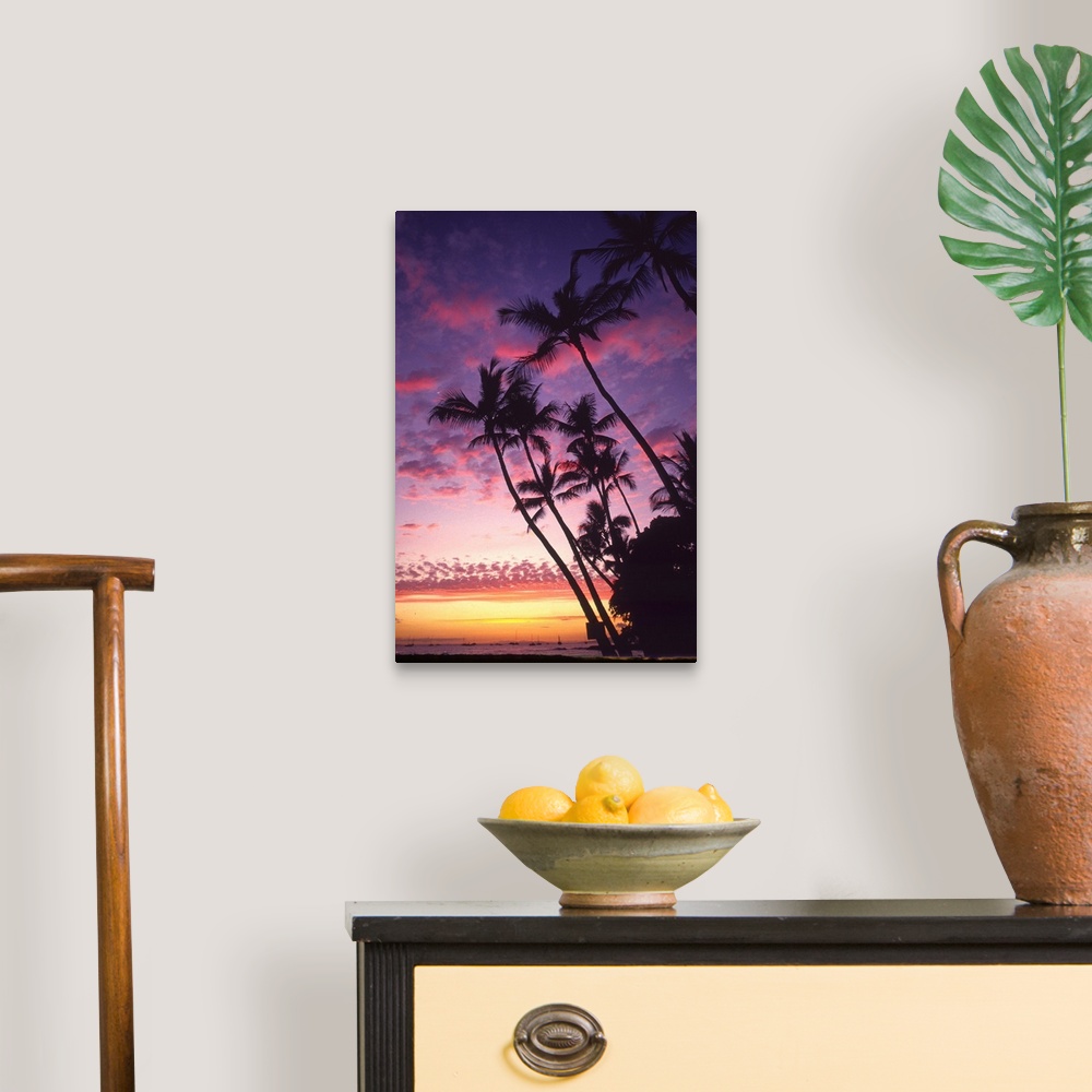 A traditional room featuring This is a vertical photograph of a tropical scene where palm trees a stretching towards the cloud...
