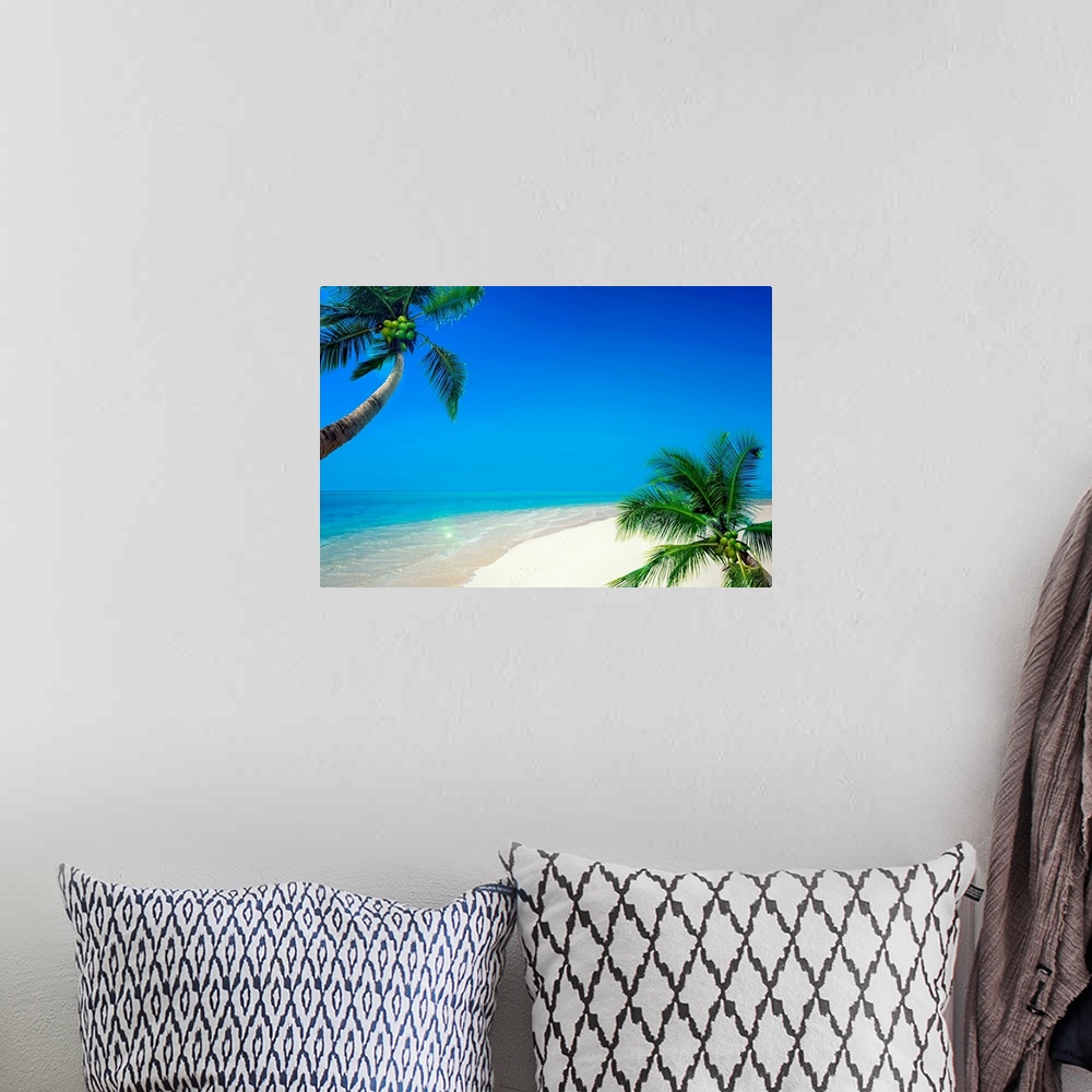 A bohemian room featuring Large photograph displays two tall palm trees filled with coconuts sitting on a beach as waves fr...