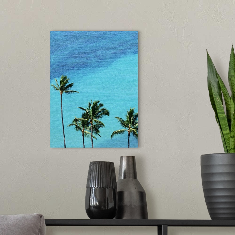 A modern room featuring Palm trees and surface of the sea