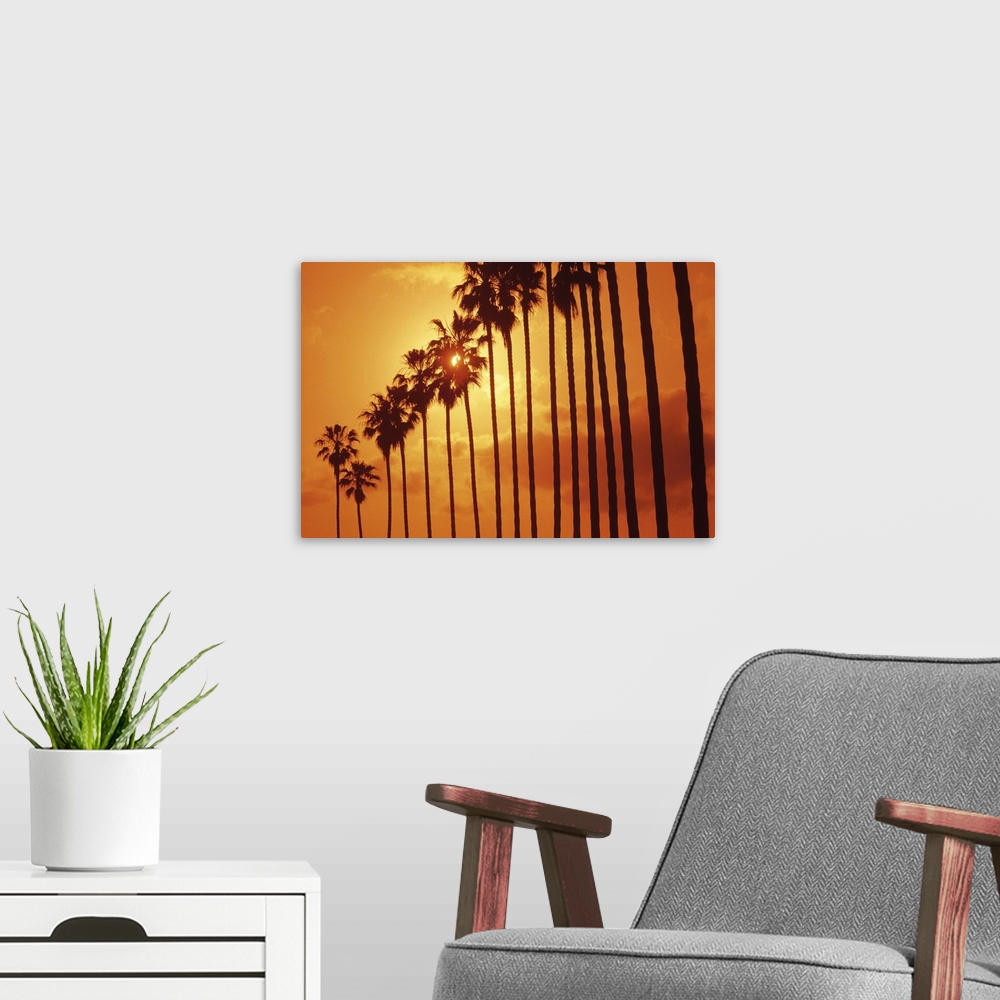 A modern room featuring Palm trees at sunset, San Diego