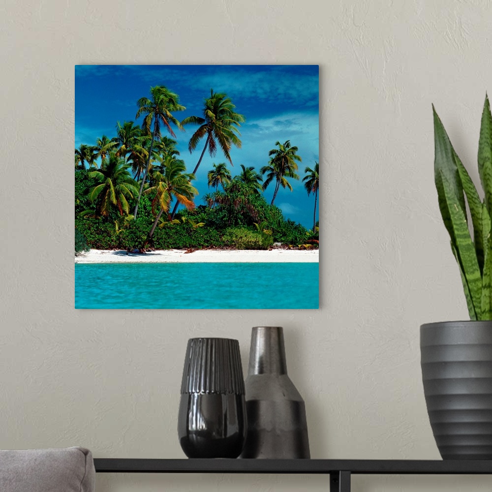 A modern room featuring A square photograph of a sandy shoreline and clear turquoise water with lush vegetation under a p...