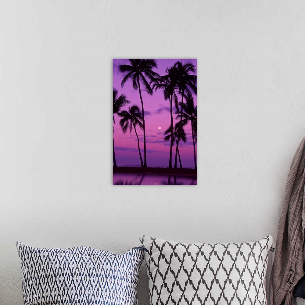 A bohemian room featuring Palm trees with moon in a bright pink and purple sky, reflecting on still water.