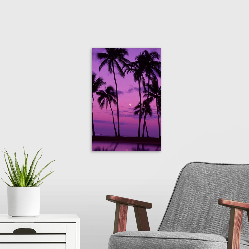 A modern room featuring Palm trees with moon in a bright pink and purple sky, reflecting on still water.