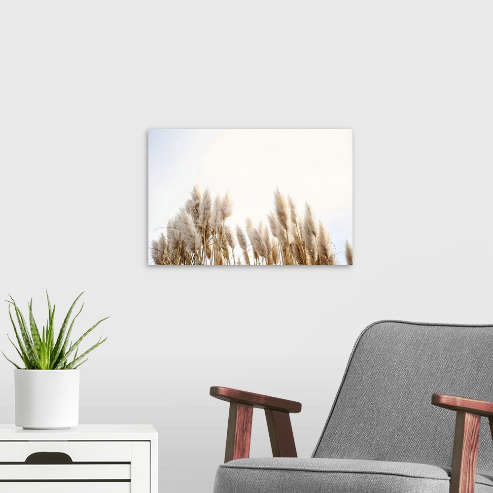 A modern room featuring Pampas Grass In The Sky