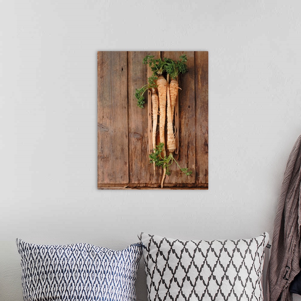 A bohemian room featuring Parsnip on wood, directly above
