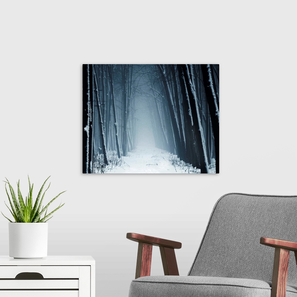 A modern room featuring Path leading into mysterious forest in snow and fog.