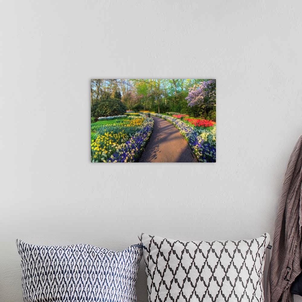 A bohemian room featuring Springtime colors and pathway in Kuekenhof gardens with Hyacinths, Daffodils, Tulips Holland (Net...