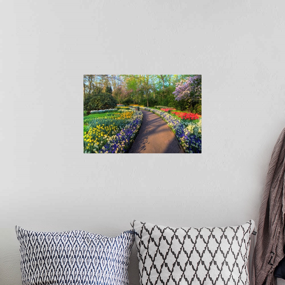 A bohemian room featuring Springtime colors and pathway in Kuekenhof gardens with Hyacinths, Daffodils, Tulips Holland (Net...