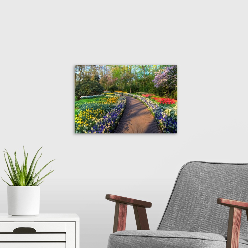 A modern room featuring Springtime colors and pathway in Kuekenhof gardens with Hyacinths, Daffodils, Tulips Holland (Net...