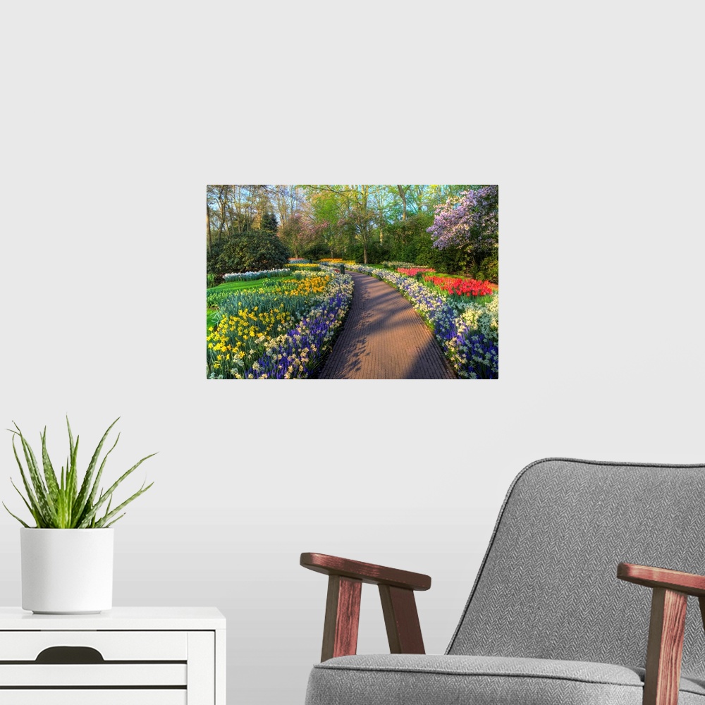 A modern room featuring Springtime colors and pathway in Kuekenhof gardens with Hyacinths, Daffodils, Tulips Holland (Net...