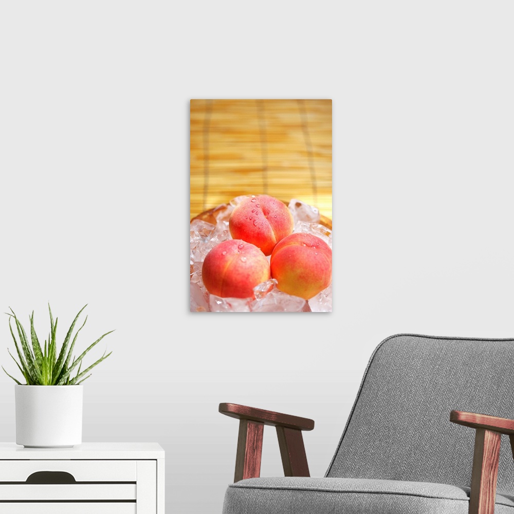A modern room featuring Peaches in Ice Bucket