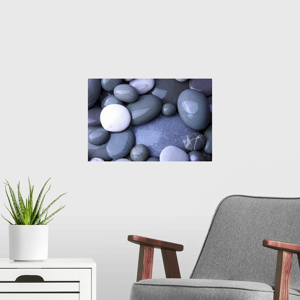A modern room featuring Close up photo of wet, smooth stones in varying oval shapes and gray colors.