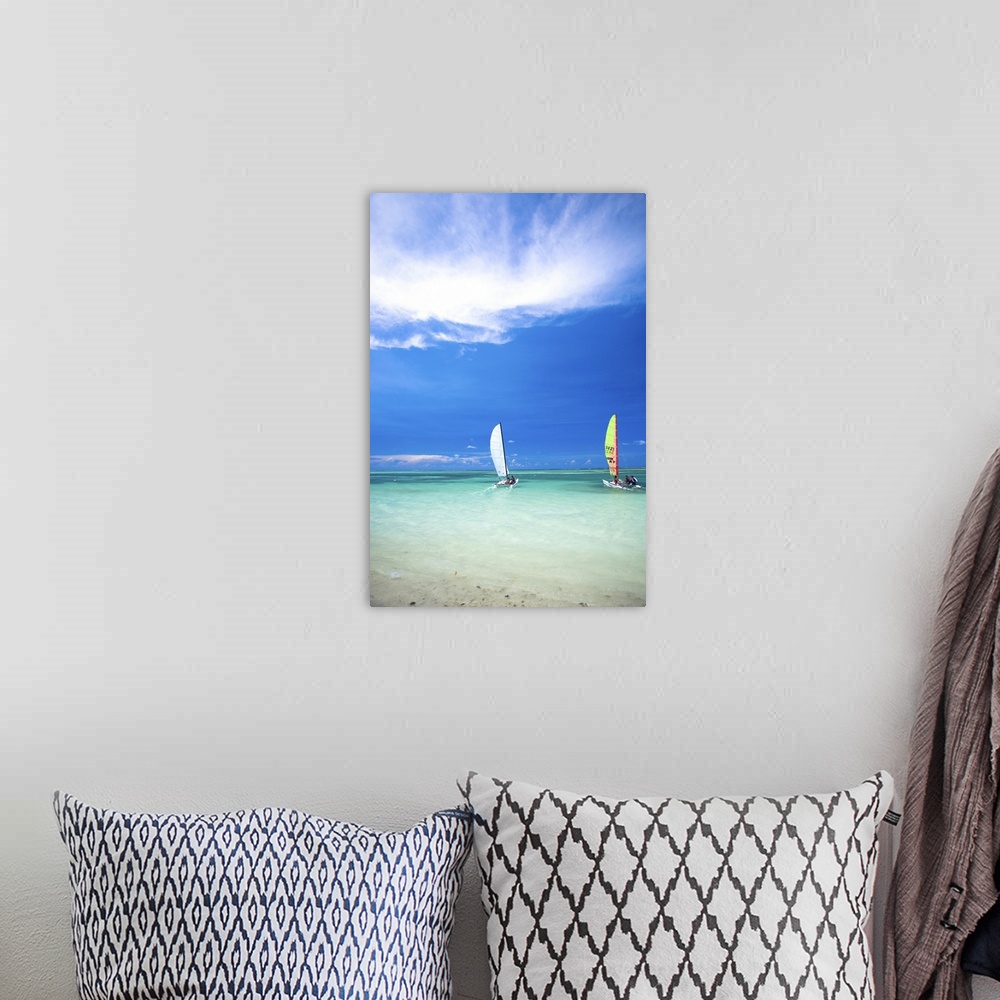 A bohemian room featuring People sailing sailboats in the ocean