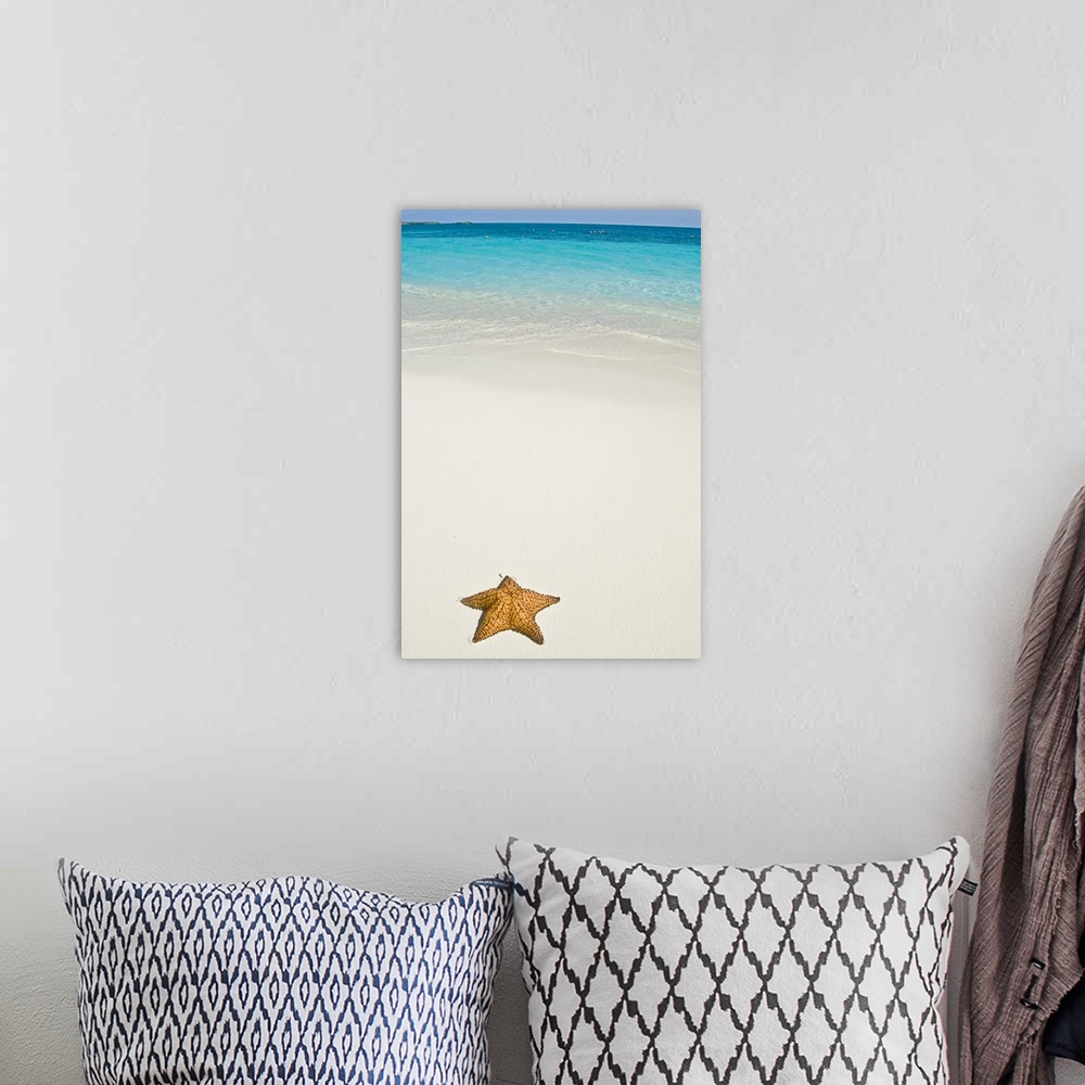 A bohemian room featuring Vertical panoramic photograph of starfish in the sand with the ocean in the distance under a clou...