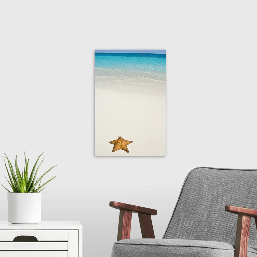 A modern room featuring Vertical panoramic photograph of starfish in the sand with the ocean in the distance under a clou...